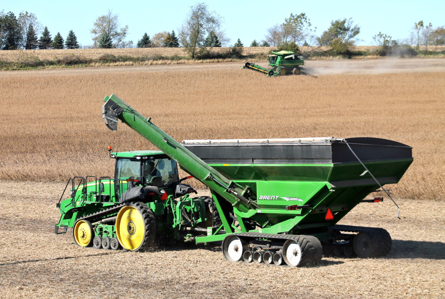 Harvest time